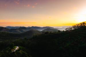 BIB: 
                            <button type="button" onclick="openModal(21900302)" class="btn btn-primary btn-sm float-right btn-popup" data-toggle="modal" data-target=".modal-high-quality">
                        <i class="fas fa-shopping-cart"></i> Add to Cart
                    </button>
                                            <button type="button" onclick="isThisMe(21900302, true)" class="btn btn-success btn-sm float-right btn-popup btn-isme hidden" data-toggle="tooltip" data-placement="bottom" title="นี่คือรูปของคุณใช่ไหม คลิกที่นี่เพื่อเอาเข้าอัลบั้ม">
                        <i class="fas fa-plus"></i> Add to album
                    </button>
                    <button type="button" onclick="isThisMe(21900302, false)" class="btn btn-warning btn-sm float-right btn-popup btn-isnotme hidden">
                        <i class="fas fa-ban"></i> Remove from album
                    </button>